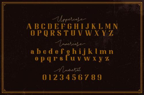 Resolve Serif Font 4