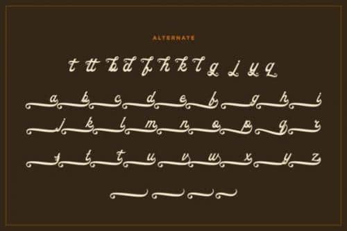 Ricota Casual Script Typeface 8