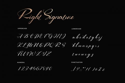 Right Signature Script Font 3