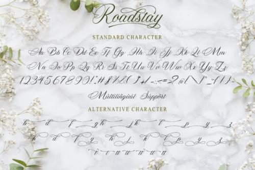 Roadstay Calligraphy Font 8