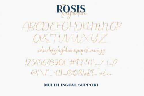Rosis And Ballroom Font Duo 2
