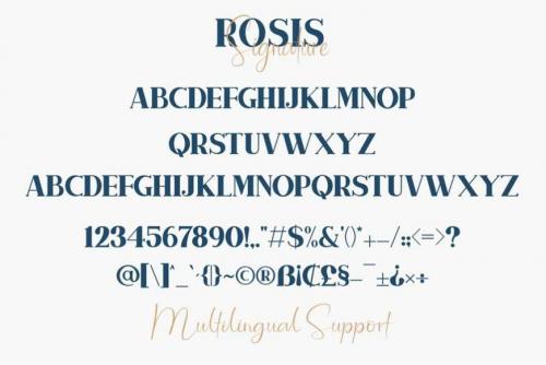 Rosis And Ballroom Font Duo 3