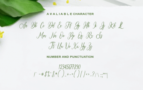 Royallisa Calligraphy Font 1 (1)