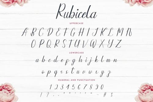 Rubicela Calligraphy Font 5