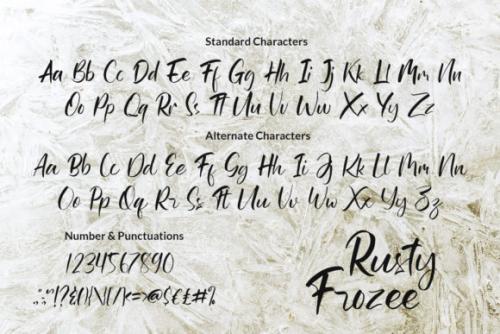 Rusty Frozee Script Font 7