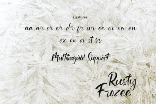 Rusty Frozee Script Font 8
