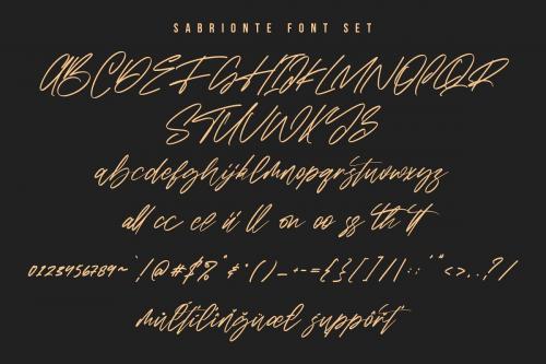 Sabrionte Script Font 8