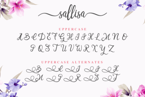 Sallisa Script Font 1
