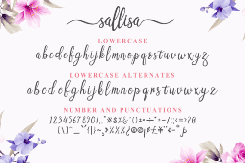 Sallisa Script Font 2