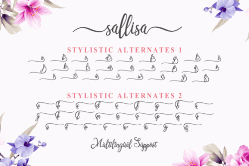 Sallisa Script Font 4
