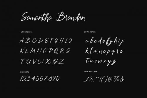 Samantha Brandon Handwritten Font 2