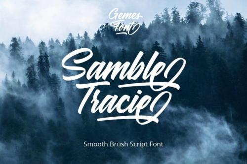 Samble Trice Brush Font 1