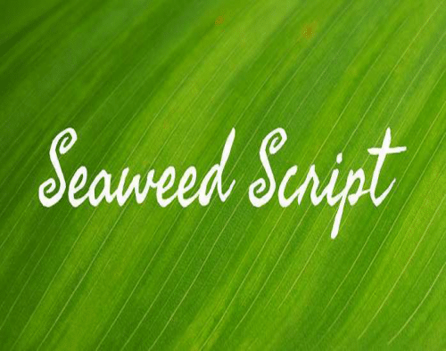 Seaweed-Script-Font--0