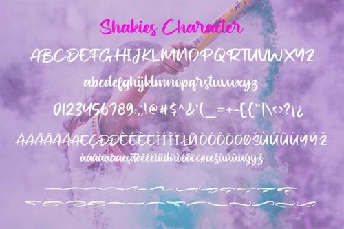 Shakies Brush Font 6