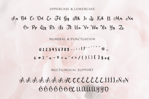 Shalma Modern Calligraphy Font 10