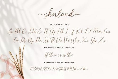 Sherland Handwritten Font 14