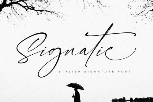 Signatie Signature Font 1