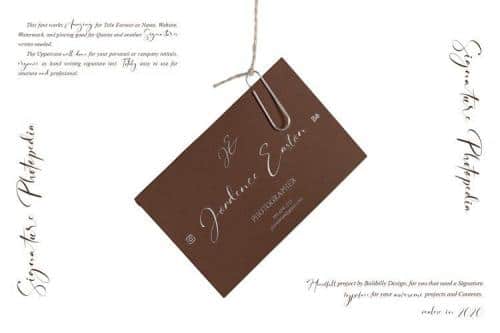 Signature Photopedia Handwritten Font 2