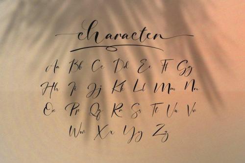 Signature Photopedia Handwritten Font 7