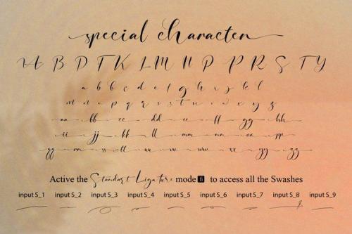 Signature Photopedia Handwritten Font 8