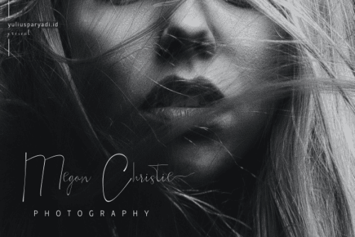 Silhouette Phantom Signature Handwritten Font 2