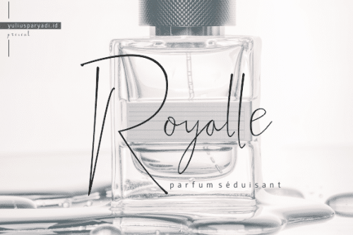 Silhouette Phantom Signature Handwritten Font 3