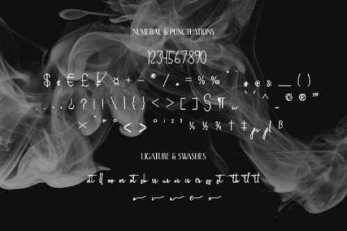 Silhouette Phantom Signature Handwritten Font 9
