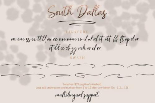 South Dallas Script Font 11