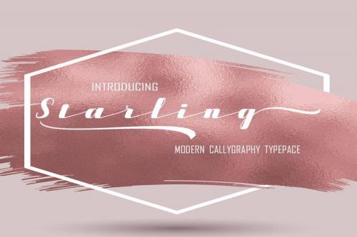 Starling Calligraphy Font