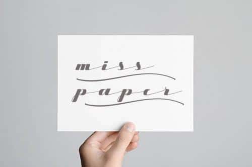 Starling Calligraphy Font  4