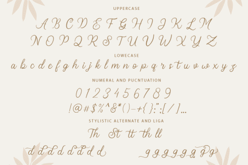 Stellina Calligraphy Font  9