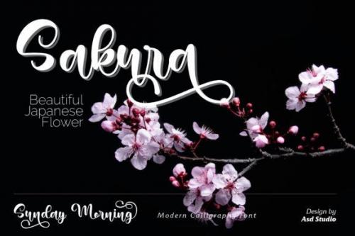 Sunday Morning Calligraphy Font  2