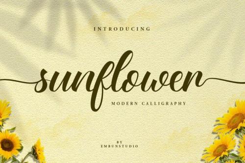 Sunflower Fields Calligraphy Font