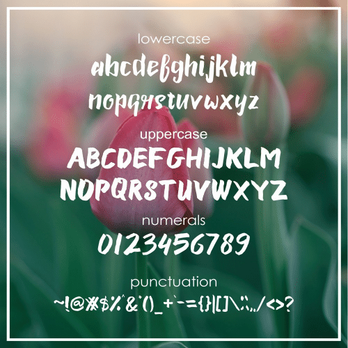 Susan-Brush-Font-Free--10