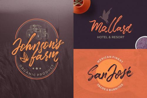 TakeEasy Brush Font  13