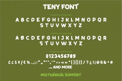 Teny Display Font  9