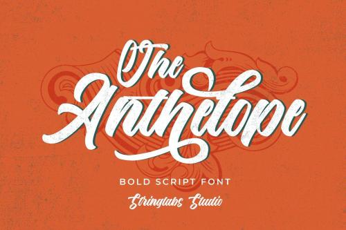 The Anthelope Retro Script Font