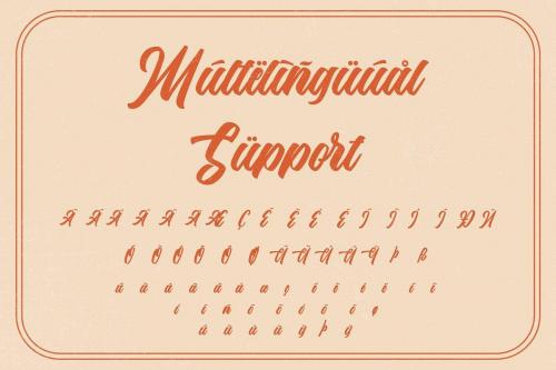 The Anthelope Retro Script Font 13