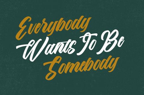 The Anthelope Retro Script Font 5