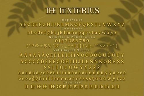 The Texterius Serif Font 1