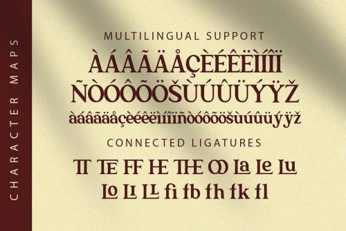 The Texterius Serif Font 11