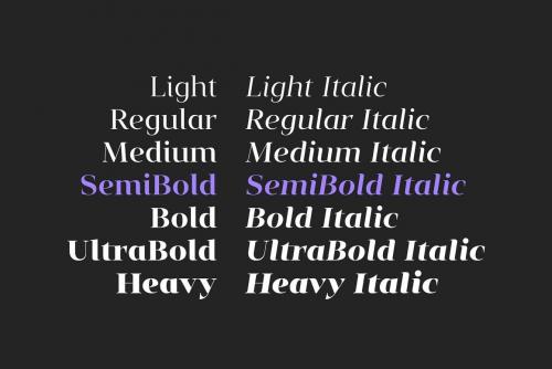 Vendura Neoclassic Serif Font 10