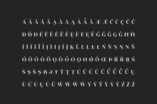Vendura Neoclassic Serif Font 7