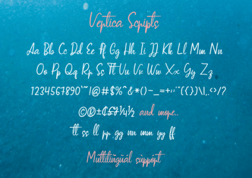 Vertica Script Font 6
