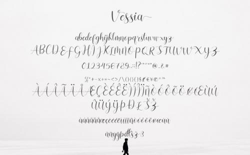 Vessia Script Font 9