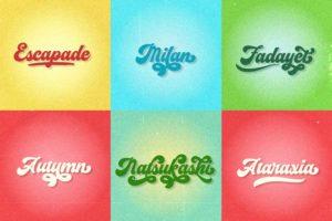 Vignettic Script Font 4