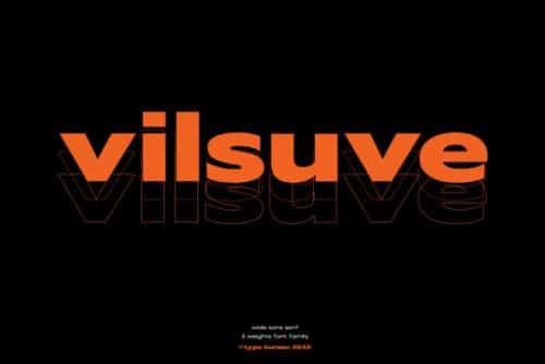 Vilsuve Sans Font Family 1