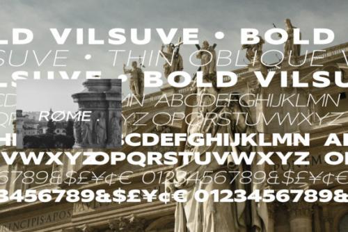 Vilsuve Sans Font Family 8