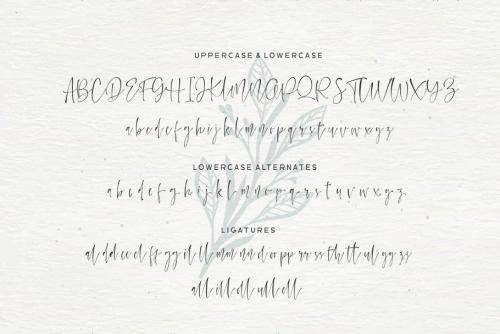 Watercoral Natural Script Font 8