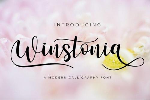 Winstonia Modern Calligraphy Font 1